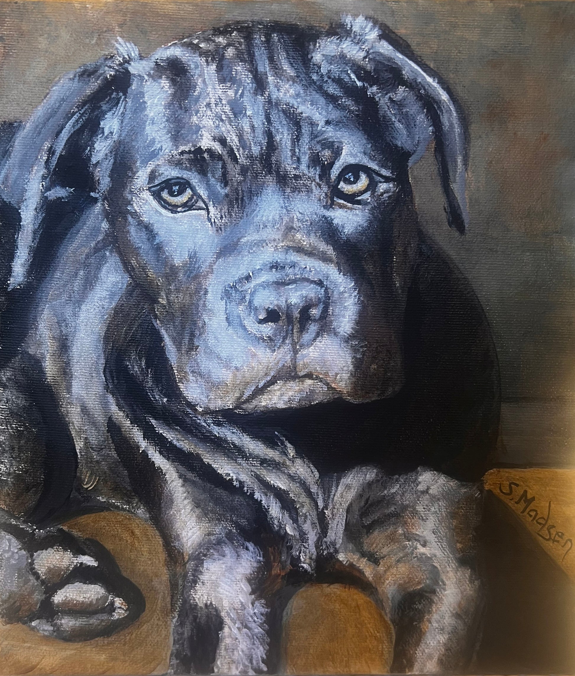 Custom Hand-Painted Pet Portraits